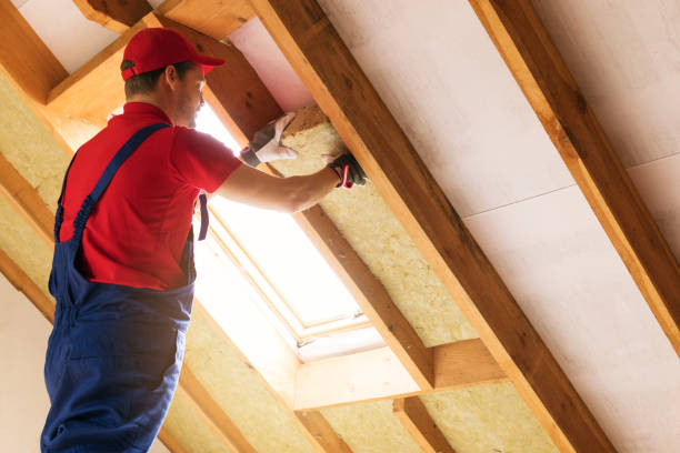 Insulation Air Sealing in Alexandria, LA